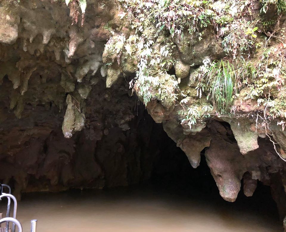 waitomo glowworm caves